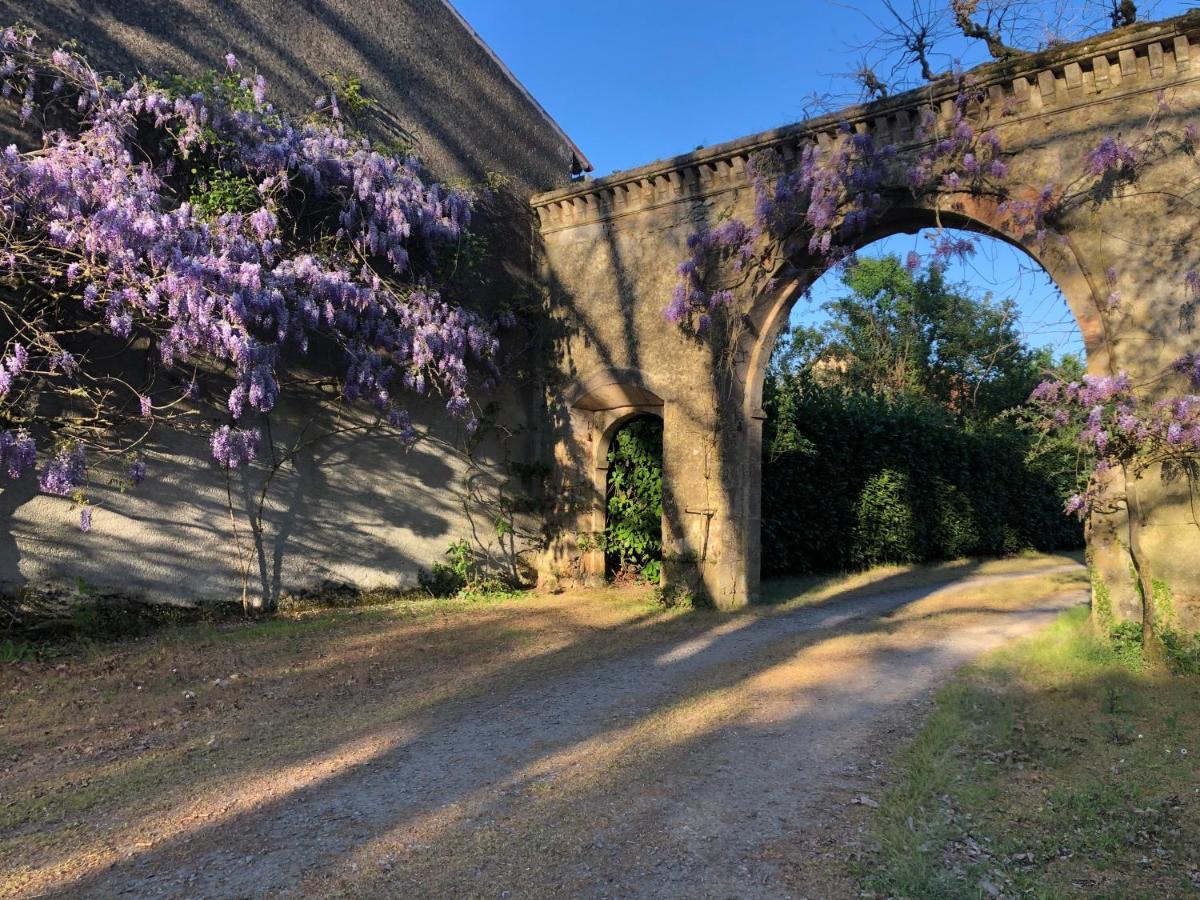 Chateau De La Mothe Saint-Sulpice-en-Pareds Εξωτερικό φωτογραφία